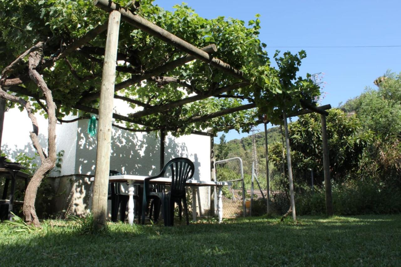 Casa La Maceta Βίλα Καντίζ Εξωτερικό φωτογραφία
